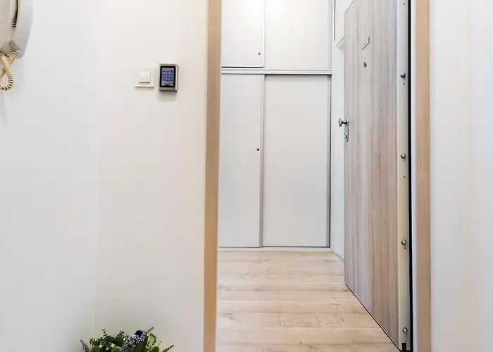 Arcus In The Very Center Of Apartment